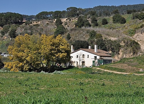 Sant Cebria de Vallalta