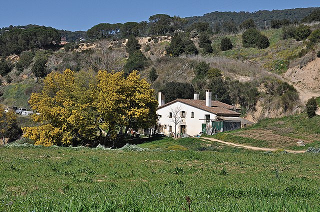 Sant Cebria de Vallalta