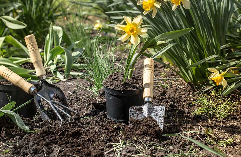 Jardiners a Arenys de Mar