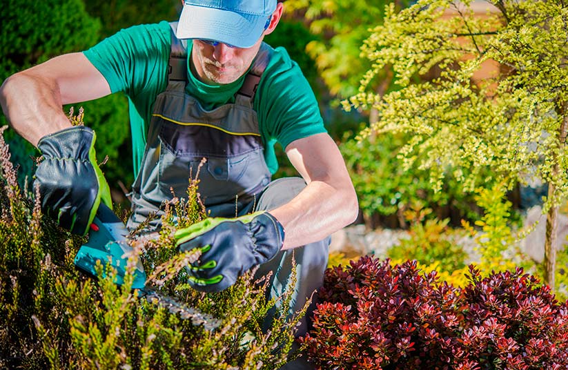 Jardiners a Sant Iscle de Vallalta