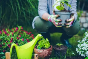 Jardiners a Sant Iscle de Vallalta