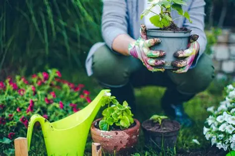 Jardiners a Sant Iscle de Vallalta